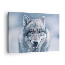 Quadro su Tela 70x50cm Lupo