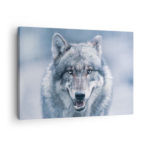 Quadro tela 70x50cm lupo - tela,