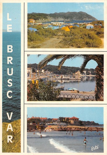 Brusc 4411 d 0389 - 83-le, brusc-n�