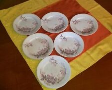 PIATTI CHINA-RICHARD SAN CRISTOFORO SCR 7¾ POST 1873 DECORO CALCOGRAFICO 6 PEZZI