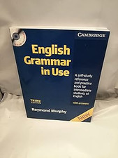 english grammar in use interm