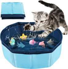 Piscina per gatti piscinetta - piscina, gatti,