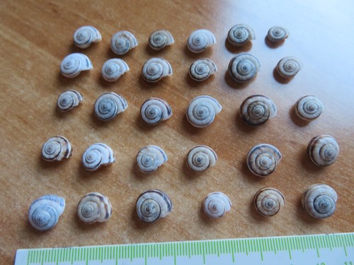 Mini casette per - 30,