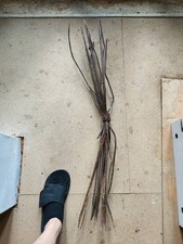 ww1 -Istrice austriaco -