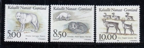 Groenlandia set lupo volpe - set, lupo,