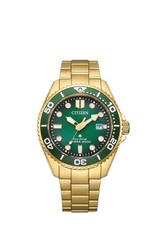 Orologio Uomo Citizen