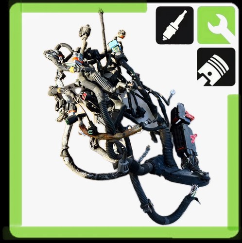 Cablaggio cablaggio motore