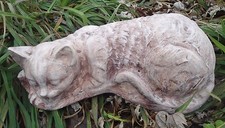 Stampo per gatti Poly plastica