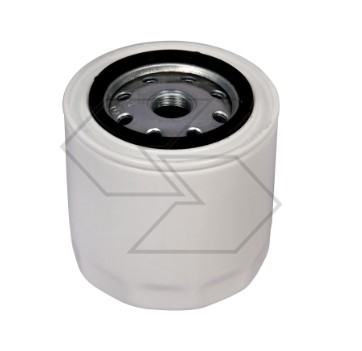 Filtro olio per motore - , goldoni