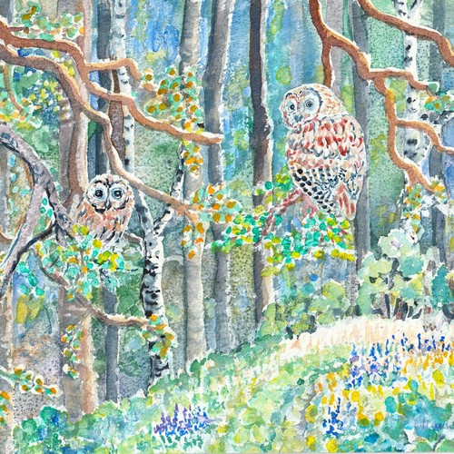 Gaccetta nel bosco 20x20 gufi
