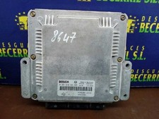 HOM8200126462 centralina