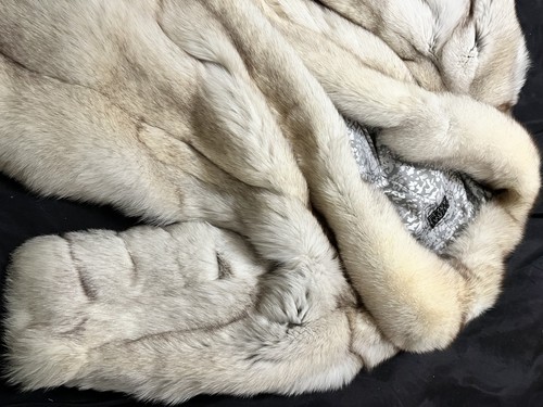 Pelliccia volpe bianca - volpe,