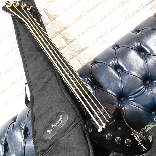 Ashbory fretless min - ashbory,