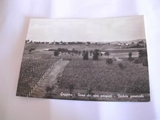 Alessandria - Gaggina zona dei vini pregiati veduta generale - sp f g 1964