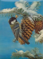 25-9A) CARTOLINA LENTICOLARE OLOGRAFICA 3D TIT BIRD UCCELLO CINCIARELLA PARIDAE