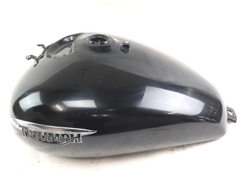 Triumph america t2402232pr - triumph,