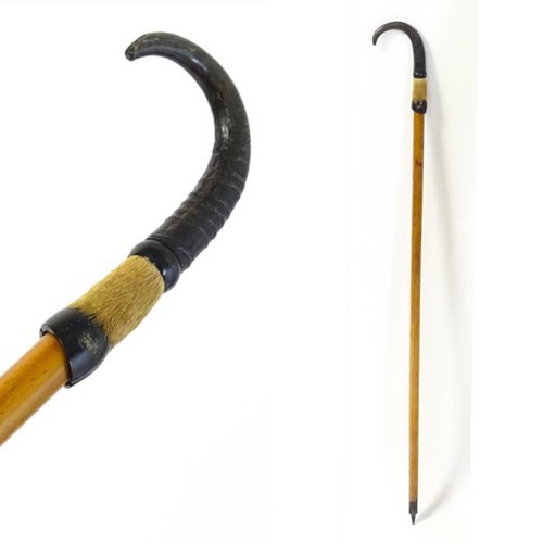 Swiss alpine hiking stick - hiking, with