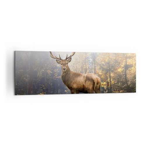 Quadro tela 160x50cm - su,