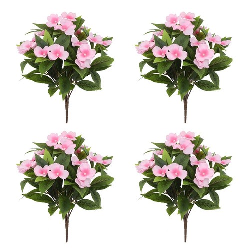 Bellissimi fiori impatiens - bellissimi,