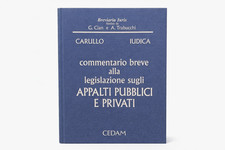 Commentario breve alla