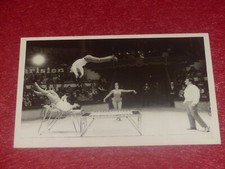 [Circo ] Foto argentique