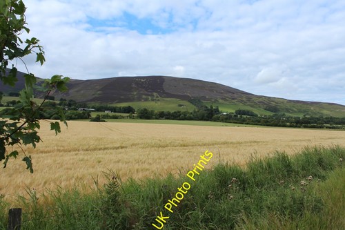 Photo 12x8 farmland near - photo,