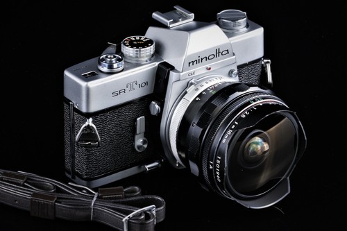 Minolta 101 fish eye - fish,