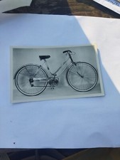 Parma Foto Bicicletta Wander