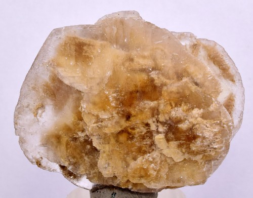 Moneta dollaro selenite - moneta,