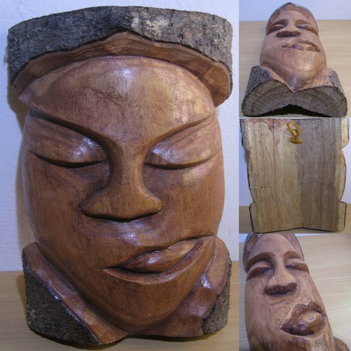 Viso scolpito nel tronco - viso,