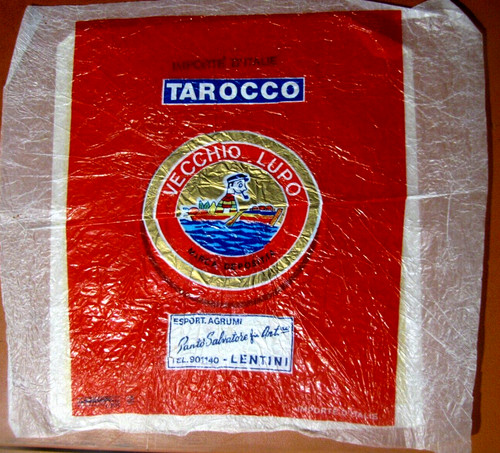 Vecchio lupo panto - vecchio, di