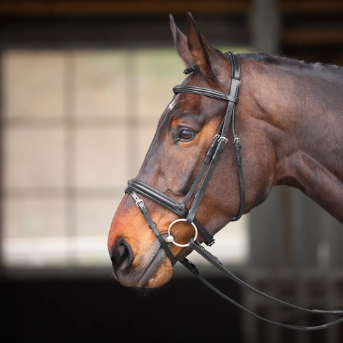 Briglia shires velociti gara - briglia,