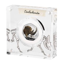 2024 Rinoceronte Lana Era