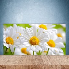 Paraschizzi da Cucina 100x50