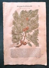 MATTIOLI MATTHIOLI Erbario a