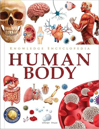 Knowledge encyclopedia human - encyclopedia,