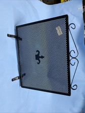 parascintille camino Ferro