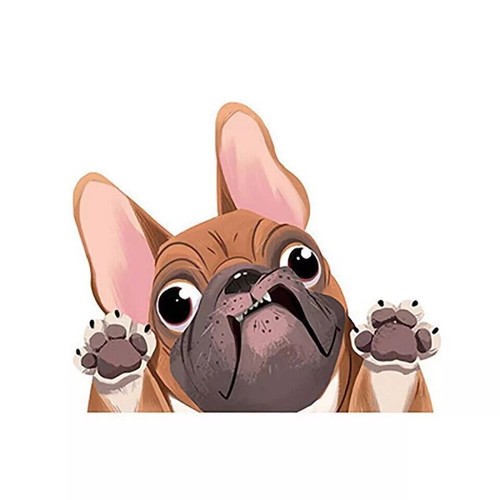 Adesivo auto bulldog francese - adesivo,