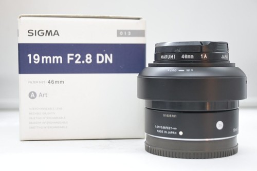 Sigma 19mm x sony e - x,