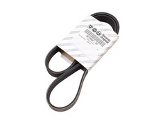 FIAT Ducato + Scudo - Cinghia