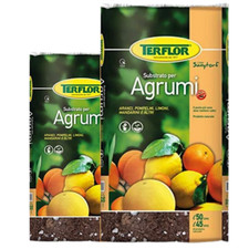 Terflor terriccio torba - terflor, per
