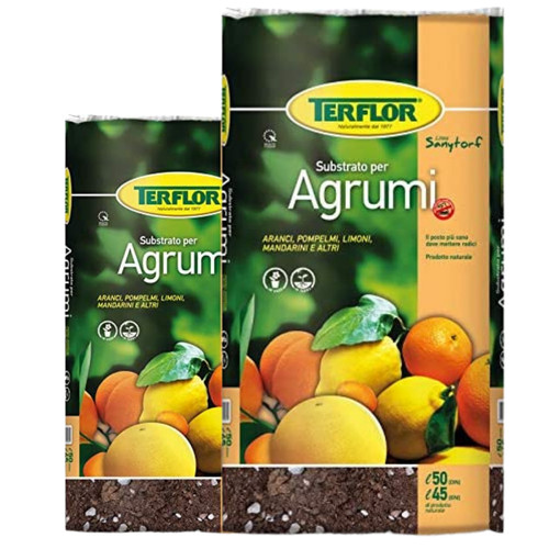 Terflor terriccio torba - torba, per