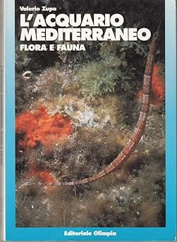 Acquario mediterraneo flora - acquario,