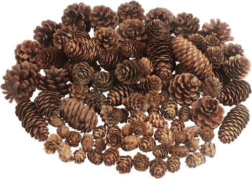 100 pezzi pigne natale - pigne,