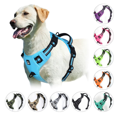 Pettorina cane anti tiro - cane,