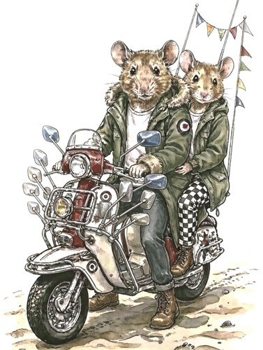 Mozzi mod scooter su - mod,
