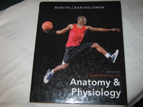 Essentials anatomy and - essentials,