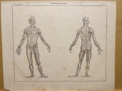 Litografia antica 1833 - litografia,
