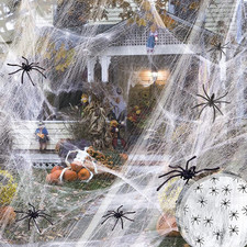 Ragnatele Di Halloween,Ragni