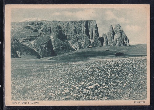 Cartolina alpe siusi e - di,